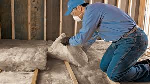 Best Basement Insulation  in Edinburg, IL