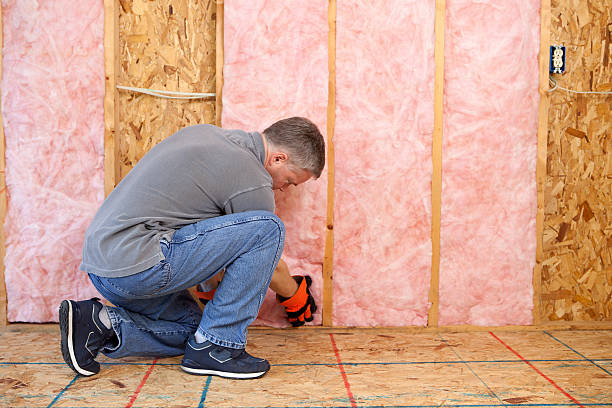 Best Batt and Roll Insulation  in Edinburg, IL